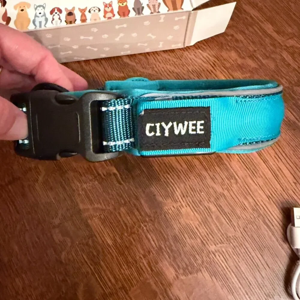 CIYWEE LED Light Up AirTag Dog Collar Teal Medium NIB USB Rechargeable